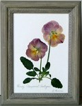 flatflowerbotanicals002004.jpg