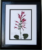 flatflowerbotanicals002006.jpg