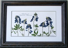 flatflowerbotanicals002007.jpg