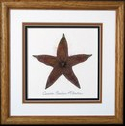 flatflowerbotanicals004003.jpg