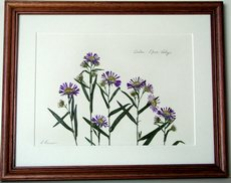 flatflowerbotanicals005005.jpg