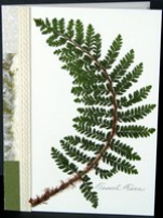flatflowerbotanicals006003.jpg