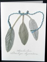 flatflowerbotanicals006004.jpg