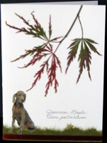 flatflowerbotanicals006008.jpg