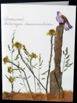 flatflowerbotanicals006010.jpg