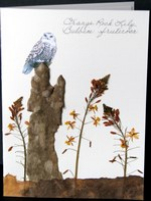 flatflowerbotanicals006012.jpg