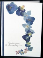 flatflowerbotanicals006013.jpg