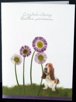 flatflowerbotanicals006015.jpg