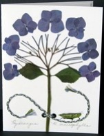 flatflowerbotanicals006017.jpg