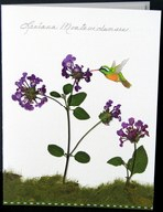 flatflowerbotanicals006018.jpg
