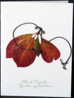 flatflowerbotanicals008008.jpg