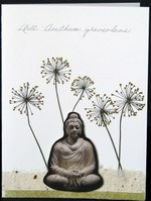 flatflowerbotanicals008018.jpg
