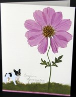 flatflowerbotanicals009008.jpg