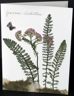 flatflowerbotanicals010006.jpg
