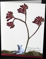 flatflowerbotanicals010007.jpg