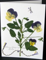 flatflowerbotanicals010008.jpg
