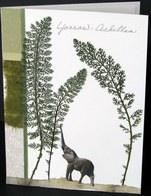 flatflowerbotanicals010009.jpg