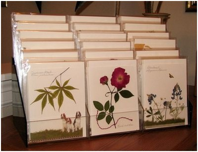 flatflowerbotanicals011003.jpg